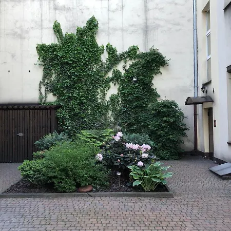 Beier - New Center Of