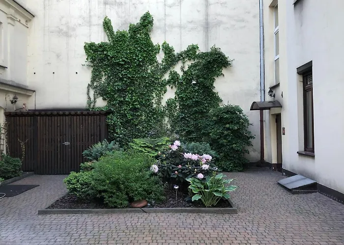 Beier - New Center Of